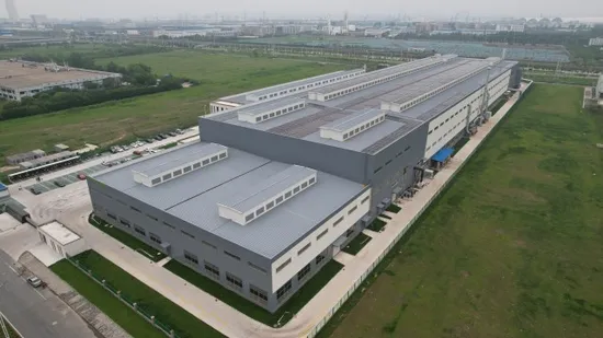 使い捨てビニール医療用手袋、パウダー/パウダーフリー